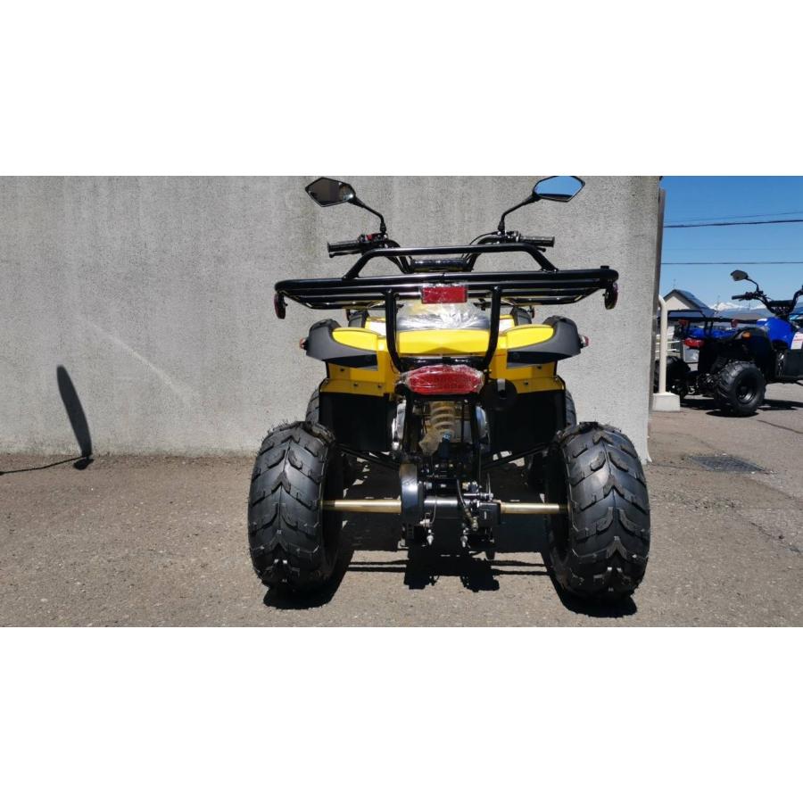 四輪バギー50cc(キット)ATV前進1速バック付公道走行可 新車 四輪バギー50cc(キット)ATV前進1速バック付公道走行可 新車