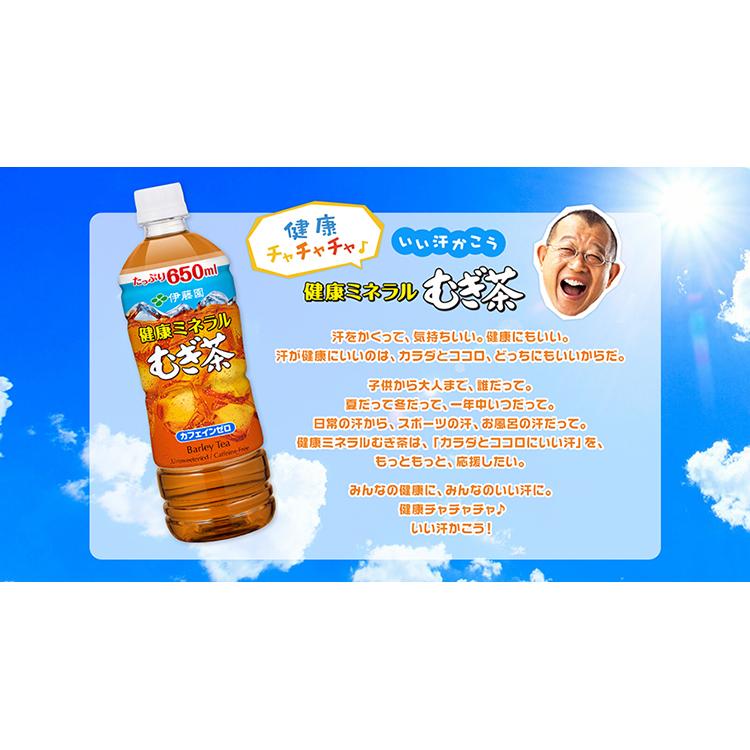 健康ミネラルむぎ茶 【4箱・96本】伊藤園 健康ミネラル麦茶250紙パック