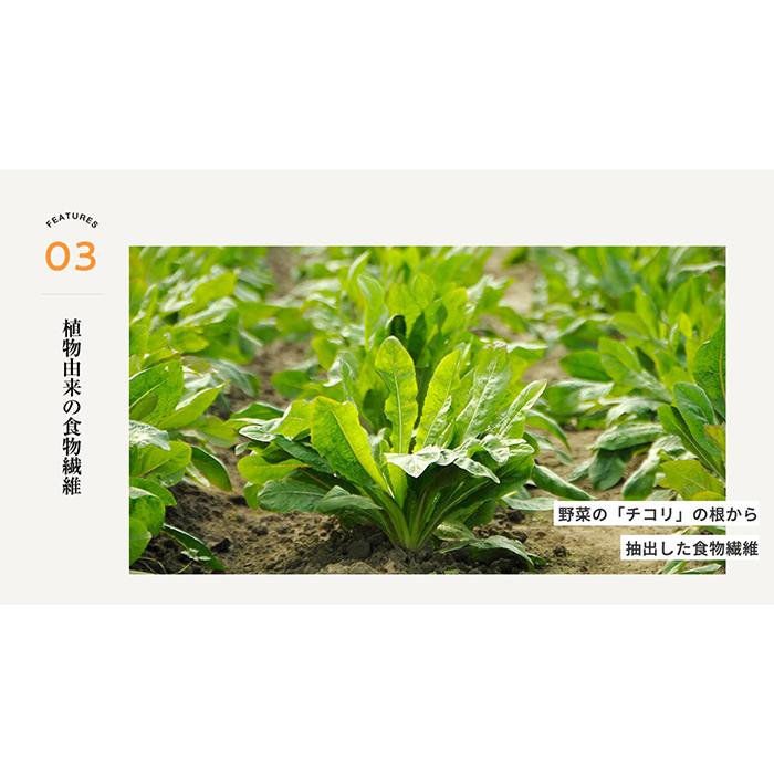 筑波乳業 【5箱・75本】筑波乳業 濃いアーモンドミルク たっぷり食物