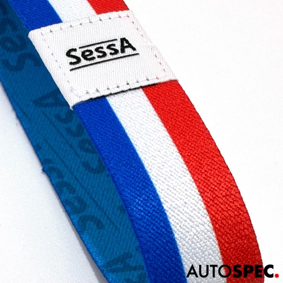 ルノー（RENAULT） SessA バイザーサッシュ トリコロール シトロエン