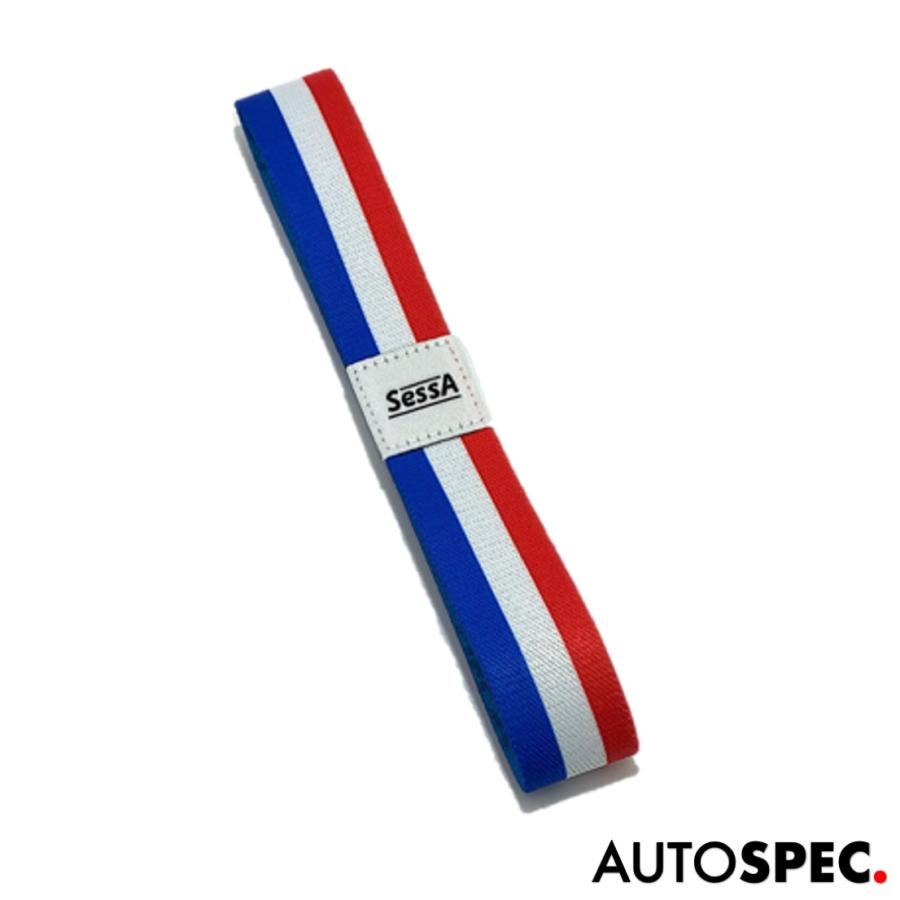 シトロエン SessA バイザーサッシュ トリコロール プジョー フランス