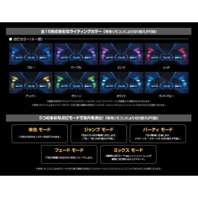 ギャルソン D.A.D LED ピラー イルミネーション＜別売電源ユニット要 