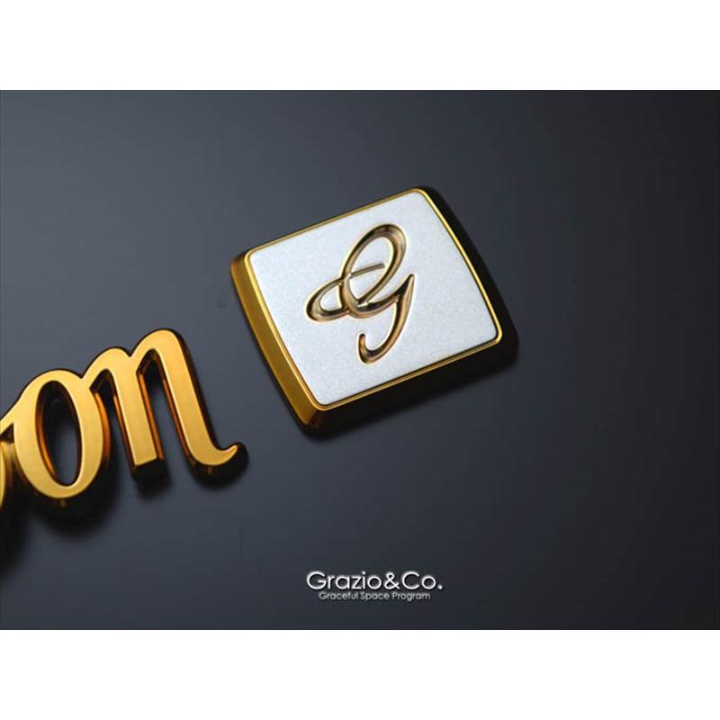 クラウン ロイヤル 21系 エンブレム ROYALSALOON G ロゴのみ ゴールド 