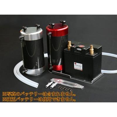 REVOLUTION ZN6 86 ドライカーボン キャッチタンク バッテリーレス