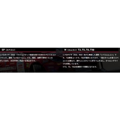 SHIBATIRE シバタイヤ R50 285/30ZR20 M (T5) [R1722]_1