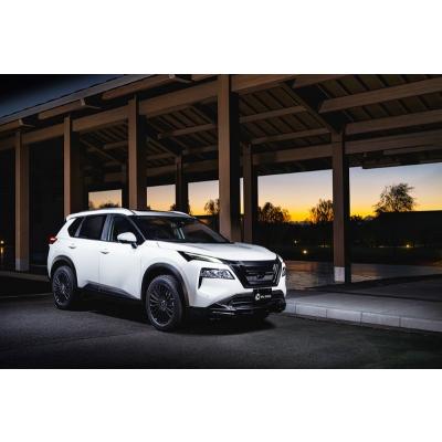 M'z SPEED T33 エクストレイル CROSS LINE フロントグリル AES製