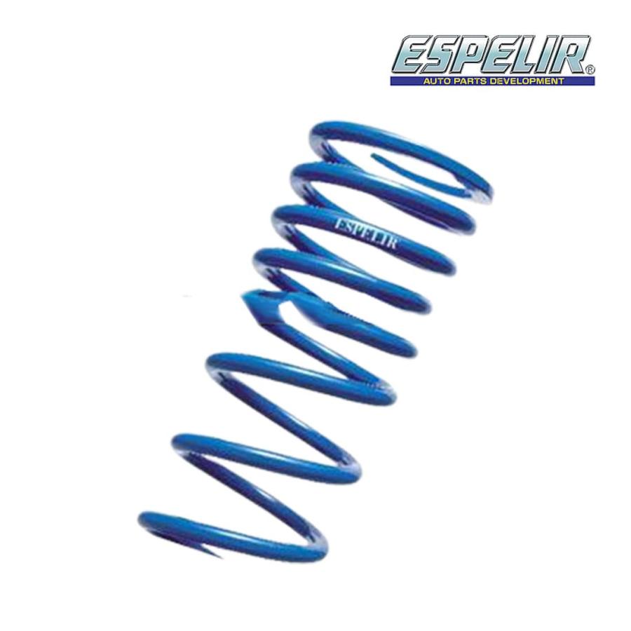 ESPELIR エスペリア ACTIVE SUPER DOWN ローダウンサスペンション