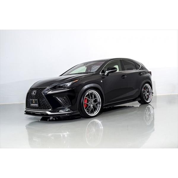 エイムゲイン レクサスNX300 F-SPORT AGZ10/15 AIMGAIN SPORT フル