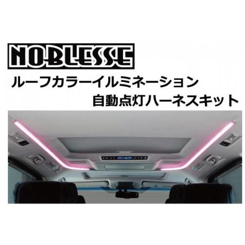 ノブレッセ アルファード 30 前期/後期共通 ルーフカラー 