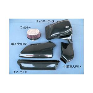 グループエム エアインテークシステム BMW Z4 E89 (09-) LM30 グレード s Drive 35i 3.0TT 排気量3000 (N54B30A)