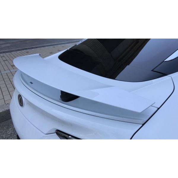 LEXUS LC500/500h DUAL WING KIT