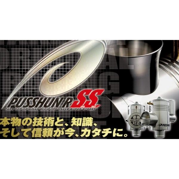 テイクオフ アルトワークス/アルトターボRS(HA36S) プッシュンR SS