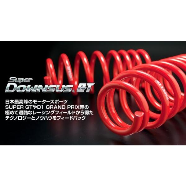 エスペリア スーパーダウンサス スカイライン GT BNR34 RB26DETT H10/5-13/6 赤色 フロントのみ