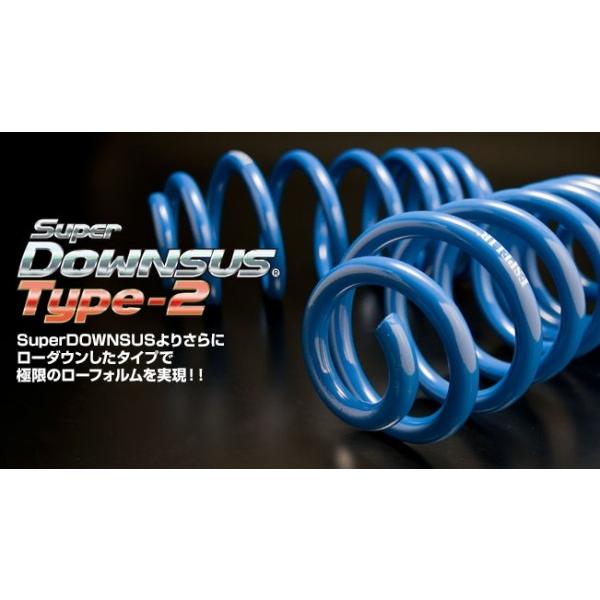 エスペリア カローラランクス スーパーダウンサス タイプ2 NZE124 1NZ-FE H13/1-H16/3 4WD 1.5L 前期 リア