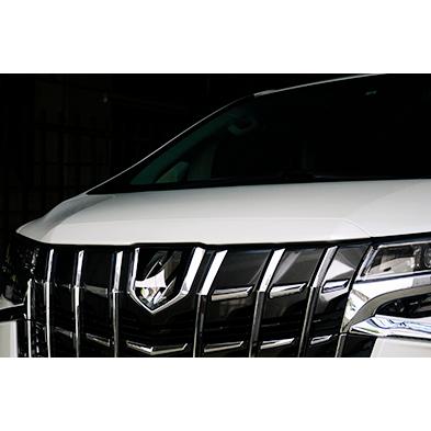 バックスクラッチャー アルファード 30系 後期 カラード ボンネット