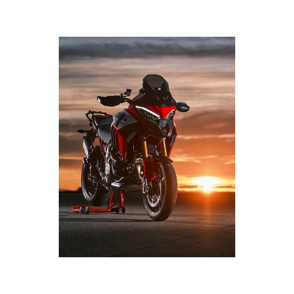 ドゥカティ 純正 Panigale V4 1299 1199 ディアベル 2021片持ち式 リア 