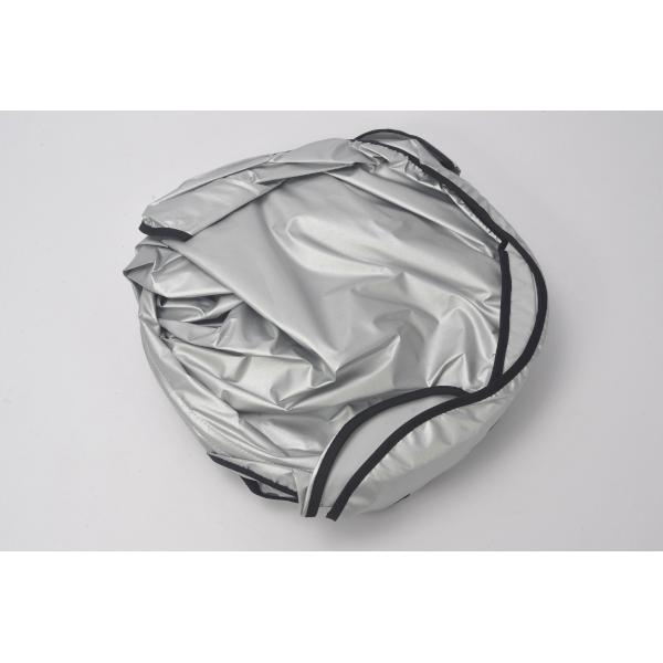 DS 純正 DS7 クロスバック CROSSBACK フロント ウィンドウ