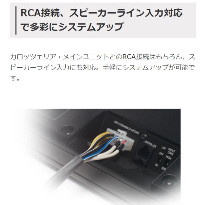 Pioneer（パイオニア） TS-WH1000A パワードサブウーファー ウーハー