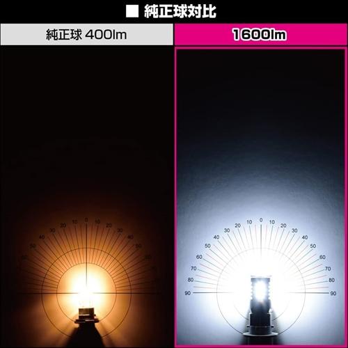 IPF バックランプ LED T20 バルブ 6500K 1600ルーメン 1個入 最新ハイ