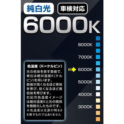 PIAA LEH262 ヘッド＆フォグ用 LED コントローラーレス H8 H9 H11 H16
