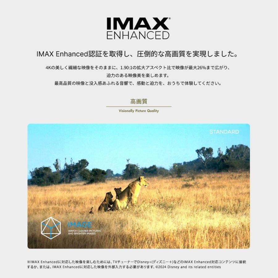 Aladdin X（アラジン エックス） Aladdin Marca Max [WM03B] 超短焦点