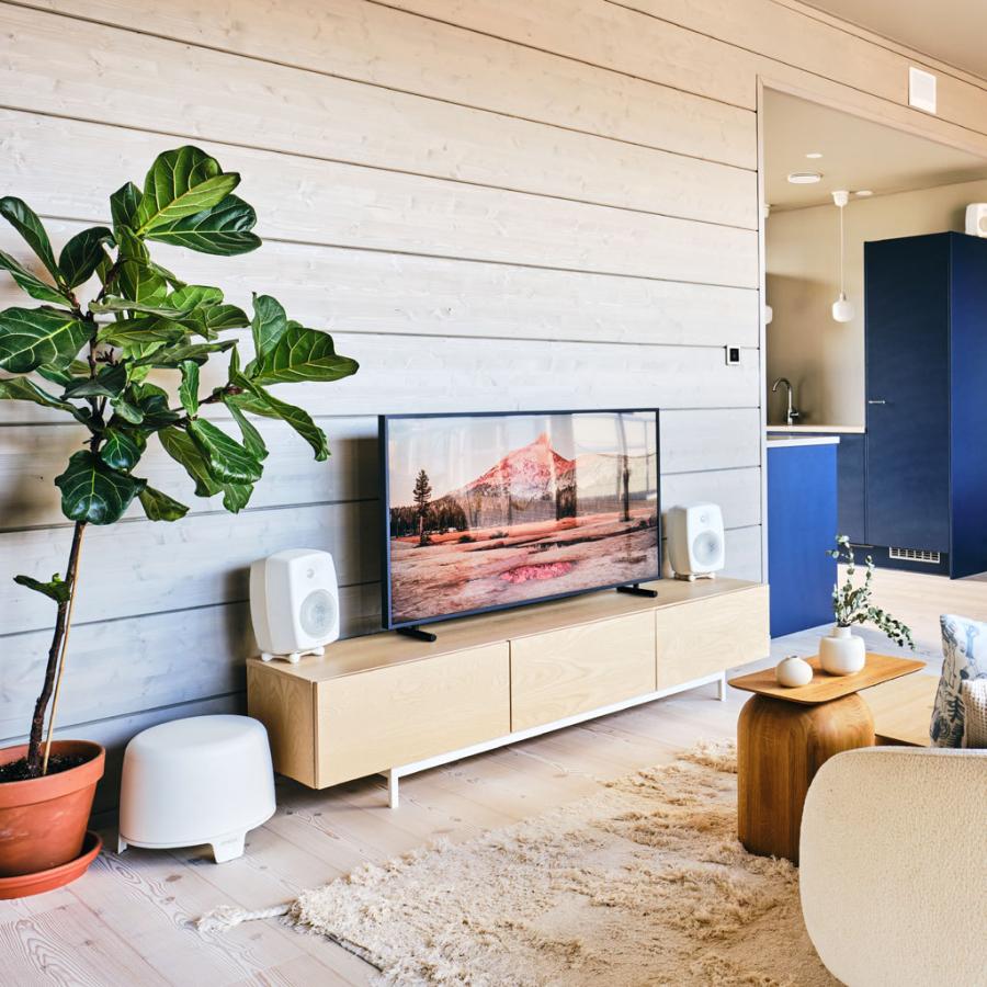 F One (B) [ WM:ホワイト ] Genelec ［ジェネレック］ サブ