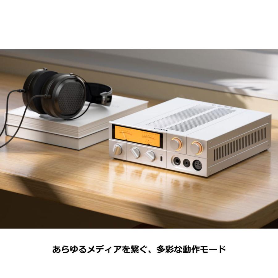 FiiO（フィーオ） K17 Black [FIO-K17-B] USB DAC内蔵ヘッドホンアンプ