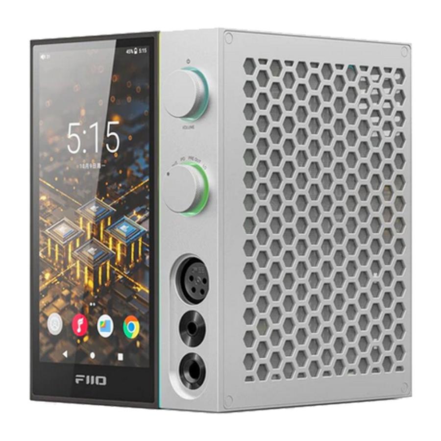 FiiO（フィーオ） R9 FIO-R9-S FiiO デスクトップオーディオ 