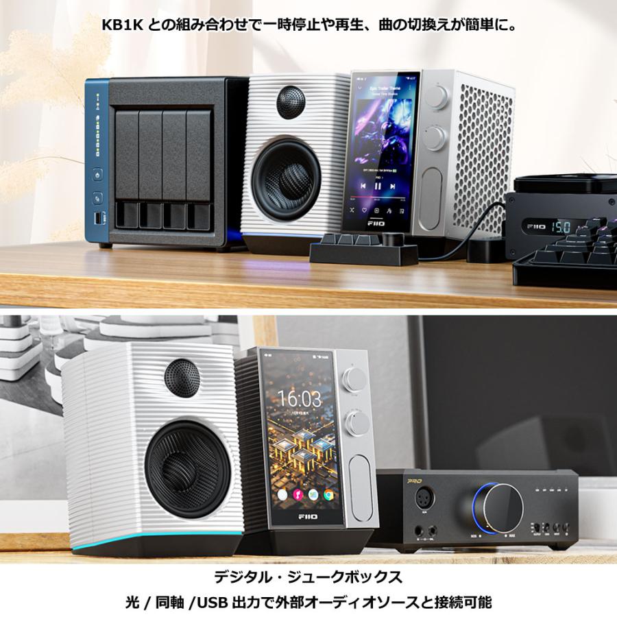 FiiO（フィーオ） R9 FIO-R9-S FiiO デスクトップオーディオ 