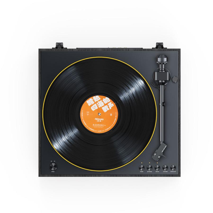 TT11 Black [FIO-TT11-B] FIIO [フィーオ] アナログレコードプレーヤー | FiiO | 09