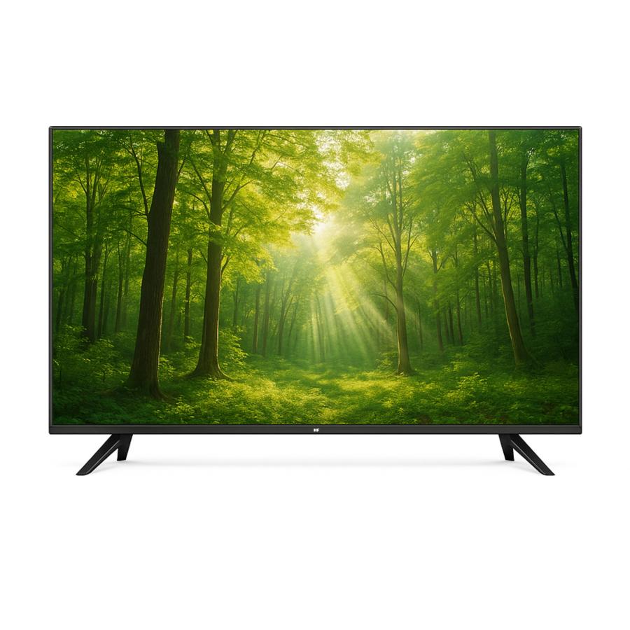 HF-TV50S 50インチ 4K スマートテレビ HF-TV50S [ホームシアターファクトリー produced by avac] 4K