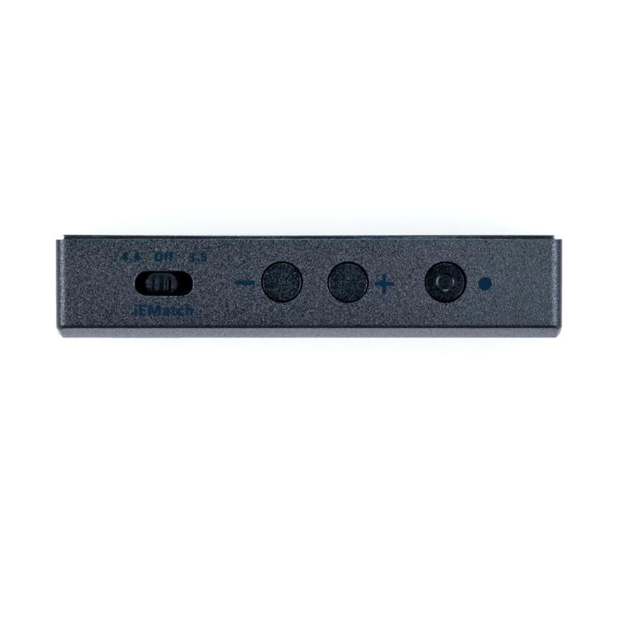 iFi audio GO bar iFi-Audio [アイファイオーディオ] スティック