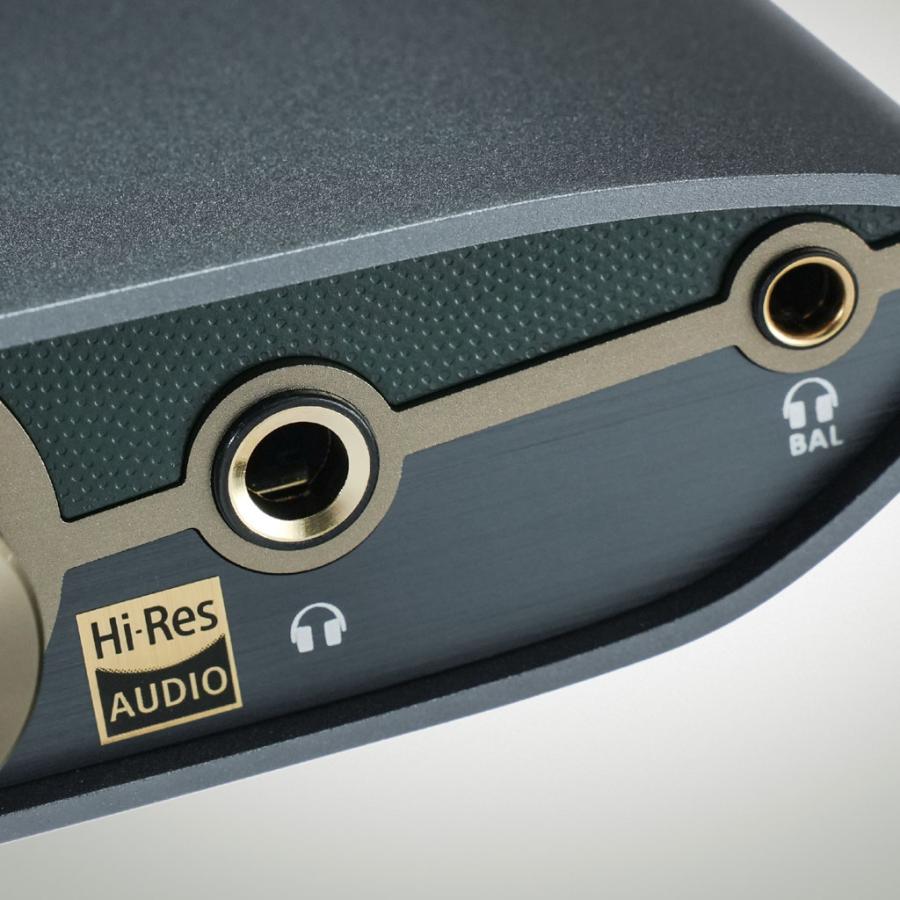 iFi audio（アイファイオーディオ） ZEN DAC 3 iFi-Audio DSD512