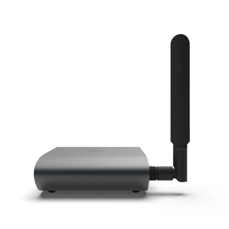 iFi audio（アイファイオーディオ） ZEN Stream 3 [IFI-ZEN-STREAM3