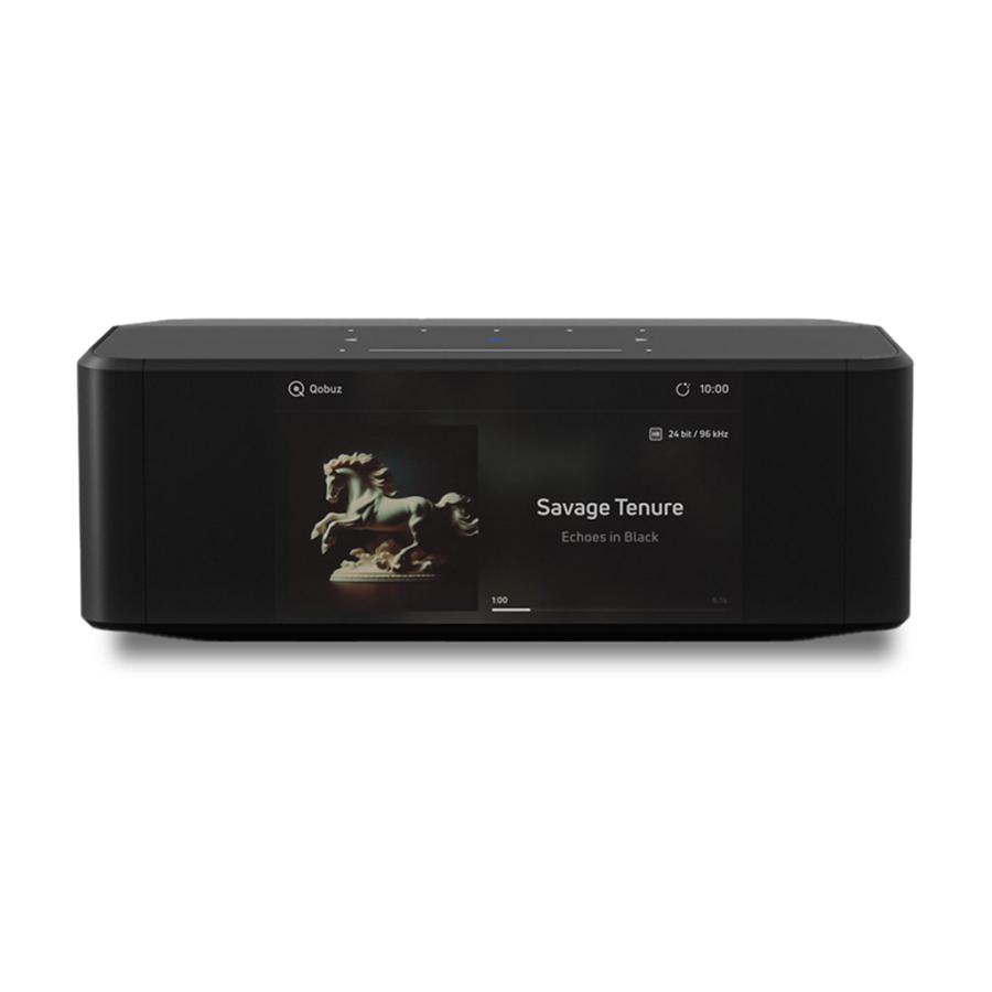 NODE ICON Bluesound [ブルーサウンド] ワイヤレス ミュージックストリーマー |  | 01