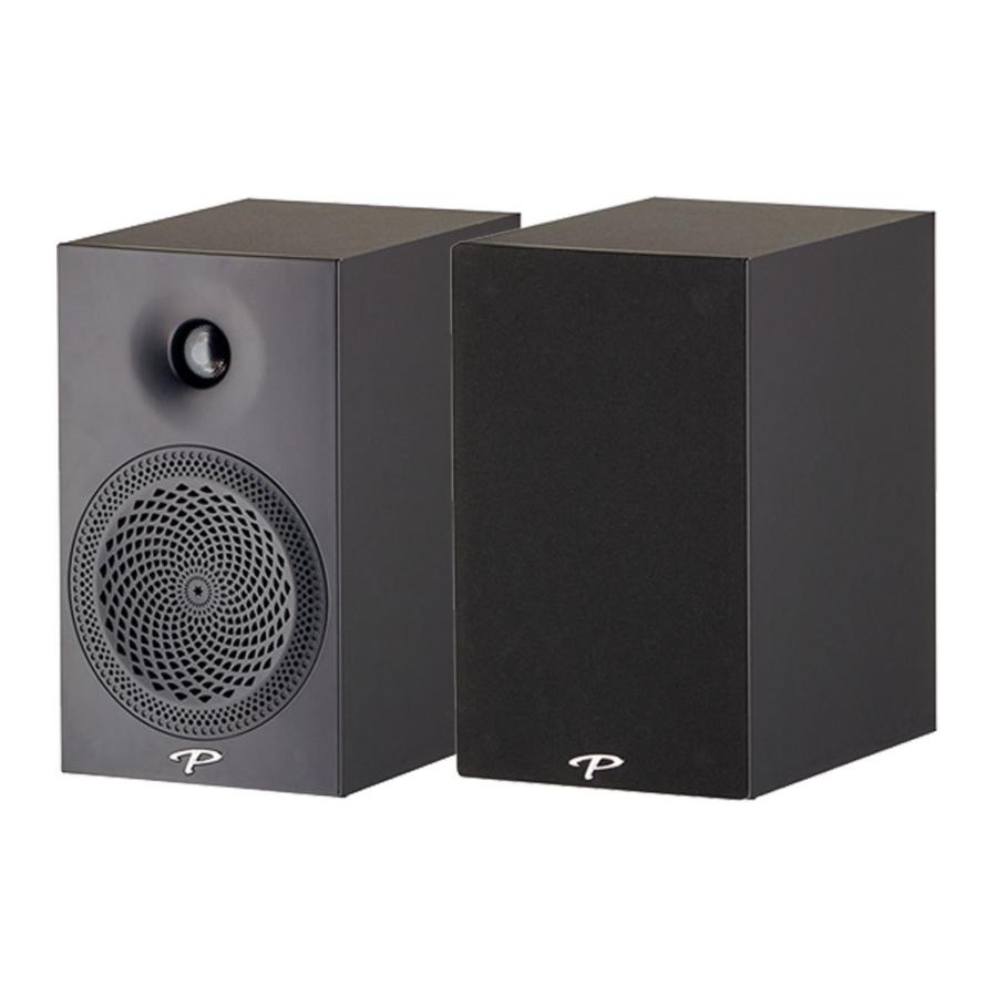 Paradigm PREMIER 100B サテンブラック PREMIER 100B [SB:サテン・ブラック] Paradigm [パラダイム] ペア