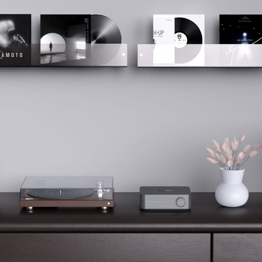 WiiM WiiM Amp Pro [WIM-WAMPPRO-DG] [ウィーム] アンプ内蔵