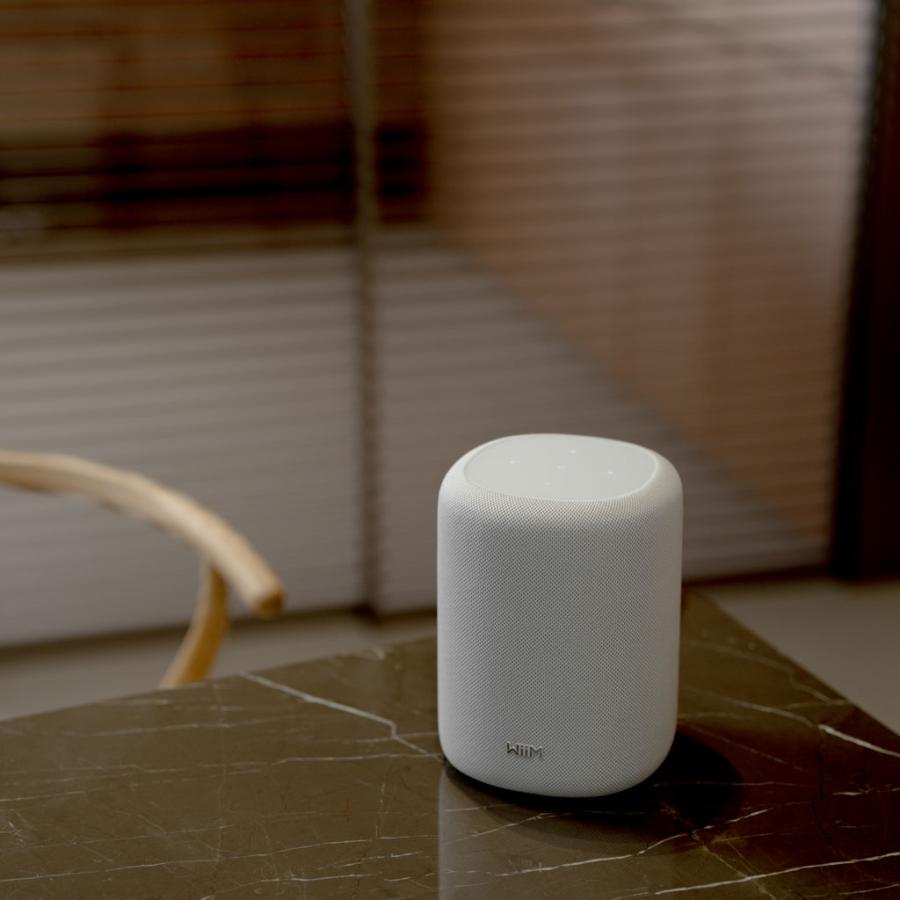 WiiM WiiM Sound Lite White [WIM-WSOUNDLITE-W] [ウィーム