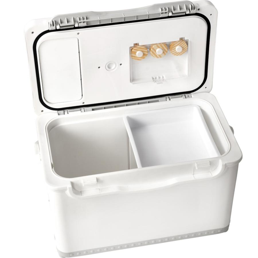 流行に Aqua Marina アクアマリーナ 2 In 1 フィッシング クーラーボックス ドリフト別売り品 スタンドアップパドルボード用 22l Rakuten Kwsrbd Com