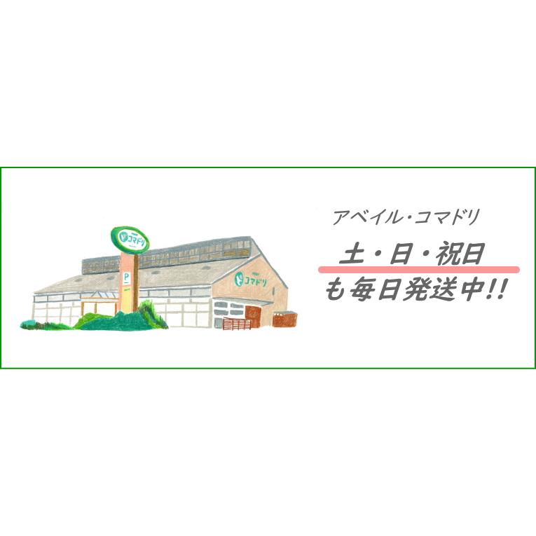 SUNFELT』 ワンタッチフェルト 18cm(シール付き) 生地 手芸 SUNFELT』 ワンタッチフェルト 18cm(シール付き) 生地 手芸