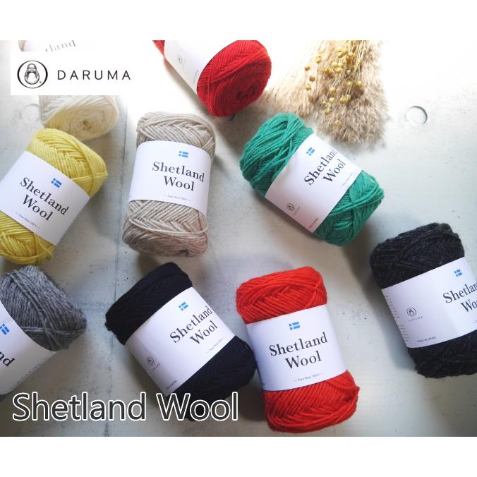 2番は欠品中※【DARUMA】シェットランドウール 【C4-12-140-5