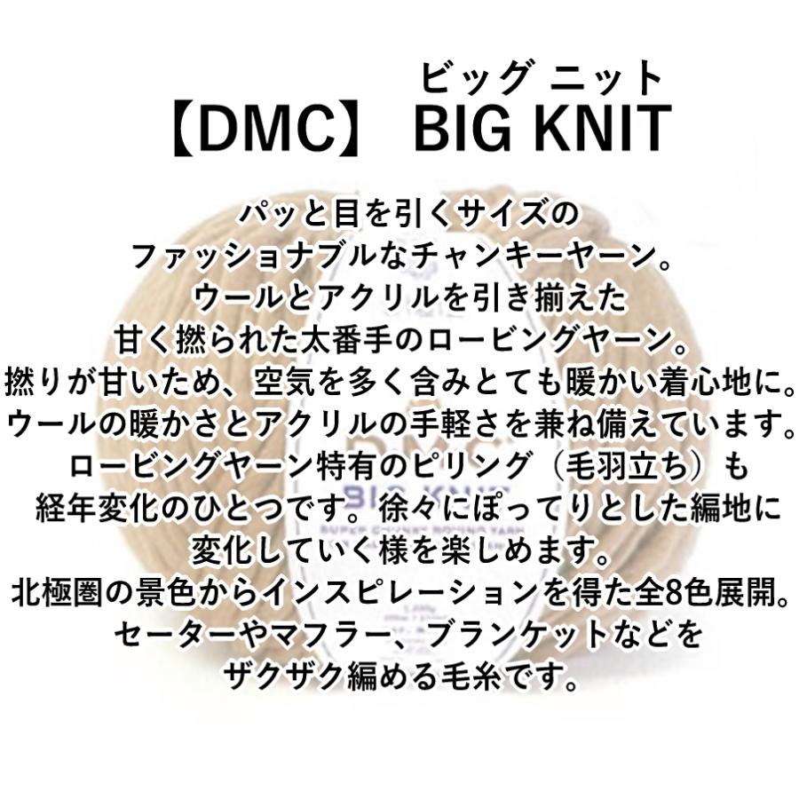 【DMC】ビッグニット　BIG KNIT　毛糸　秋冬　超極太　【C4-11-110-5】｜avail-komadori｜02