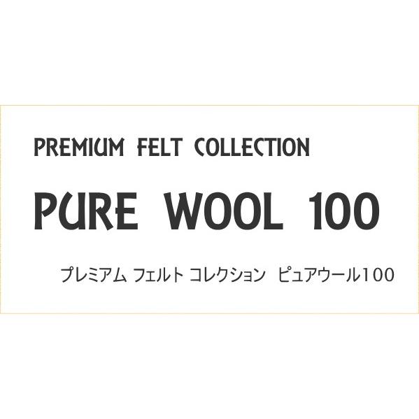 【sunfelt】ピュアウール100　Pure Wool 100　約18cm×20cm　ピエニシエニ　プレミアムフェルトコレクション【C3-8】U20｜avail-komadori｜02