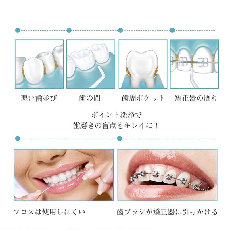 ぐきの 口腔洗浄器 ウォーターピック 歯間洗浄機 歯垢除去 防水防