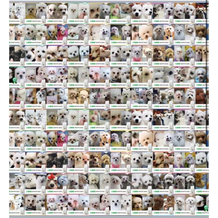 Nature’s Protection犬用フードホワイトドッグ　グレインフリー　ホワイトフィッシュ　アダルト 1.5kg｜avantyshop｜03