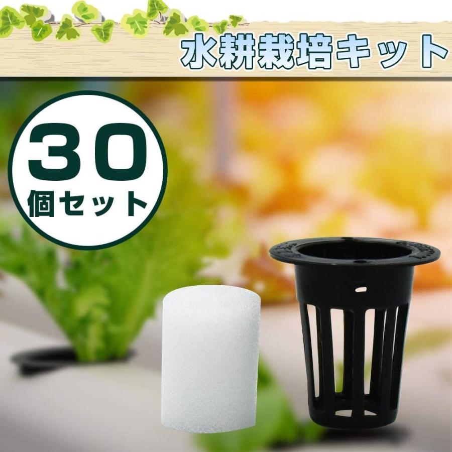 30個パック 3.5インチ クリア 育児用ポット バラエティパック 庭栽培植木鉢 Amazon.co.jp: OUPSAUI 30個パック 3.5インチ クリア 育児用
