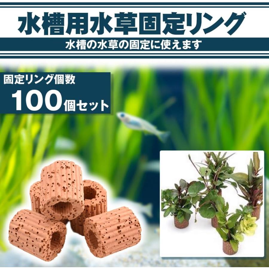 お値下げ可能】佐治石No58景観石 水石 アクアリウム 【Taiyoメダカ 