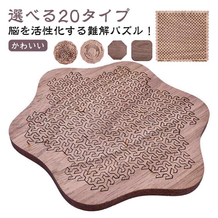 暇つぶし 難解パズル 高難度 【20タイプ】パズル 子供 木製パズル 知育