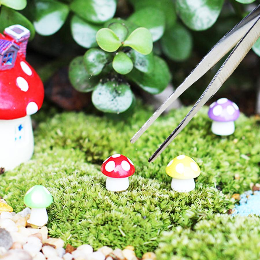 AVILMORE 苔栽培 苔リウム 多肉植物 テラリウム用 精密 ピンセット