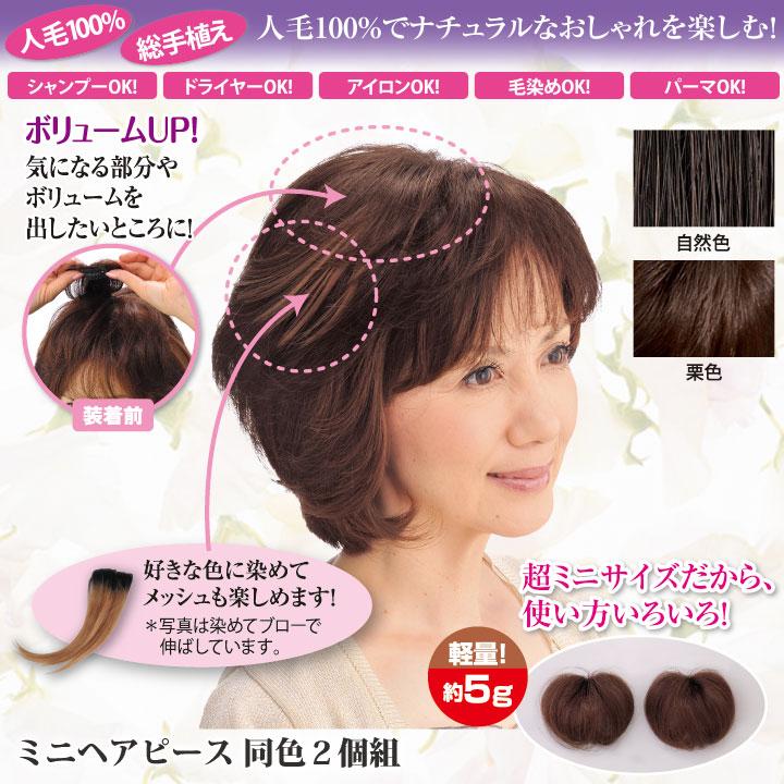 ミニヘアピース 同色2個組 Z0237 ヘアケア 白髪かくし ウィッグ